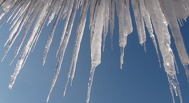 Sakarya dondu; O mahalle eksi 11,5'u gördü