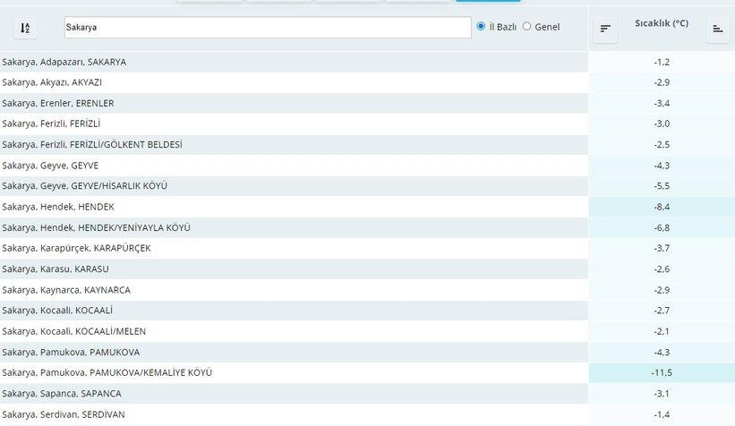 Sakarya dondu; O mahalle eksi 11,5'u gördü
