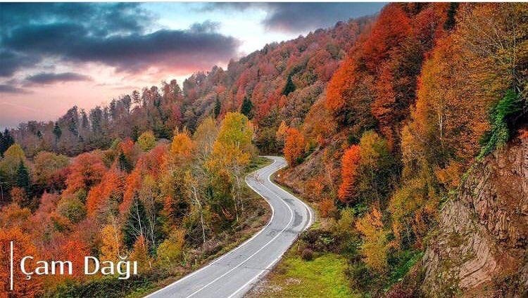sakarya-dubai-de-tanitilacakaxlsvxh0q0