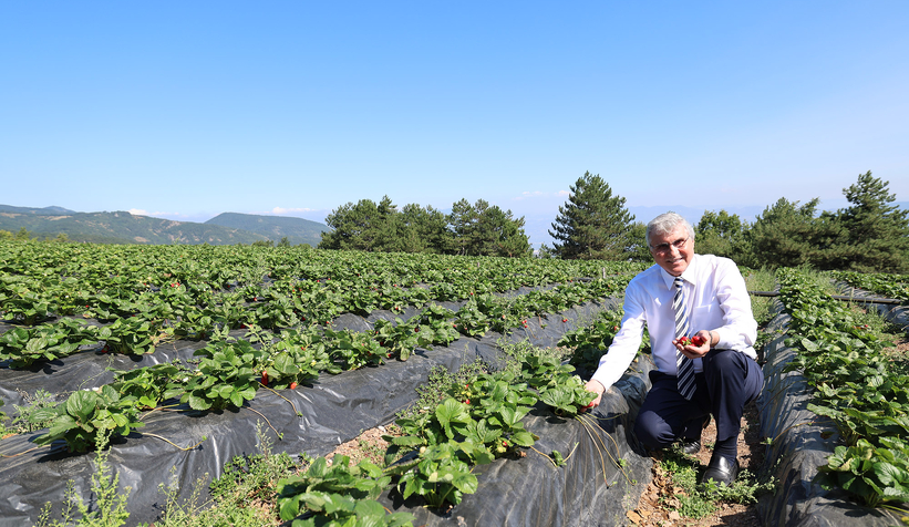 Sakarya Dünya tarım şehri oluyor