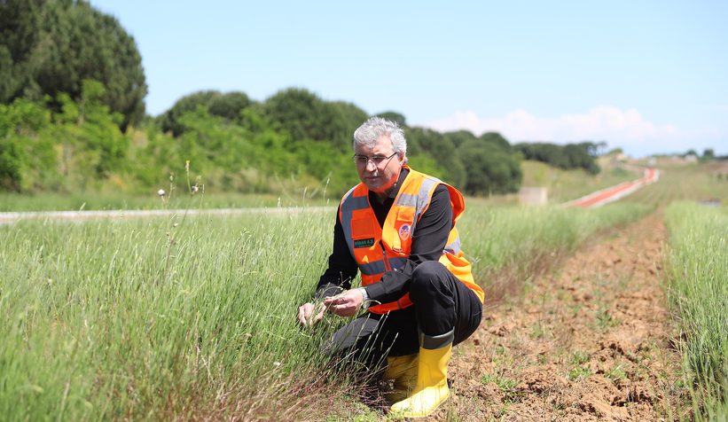 Sakarya Dünya tarım şehri oluyor