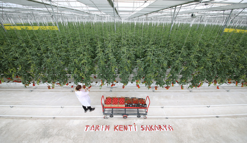 Sakarya Dünya tarım şehri oluyor
