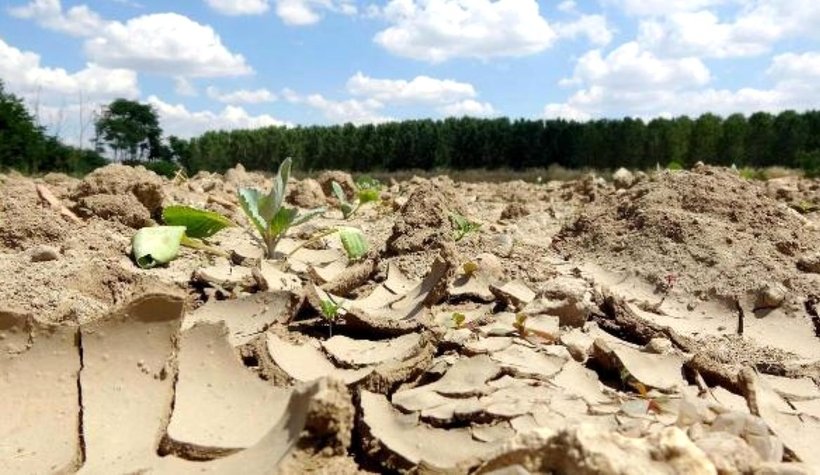 Sakarya en kurak dönemi yaşıyor