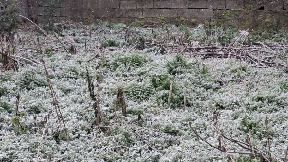Sakarya güne böyle uyandı; Buz kesti