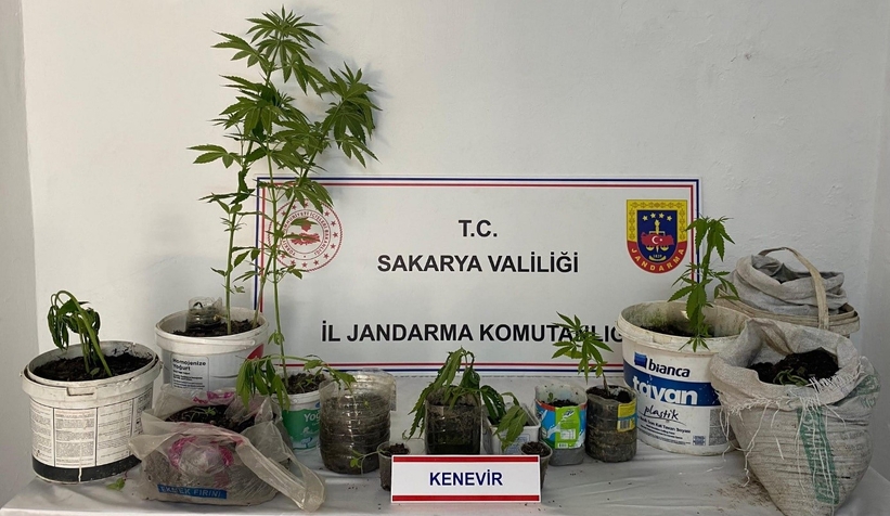 sakarya-jandarmadan-operasyonclbrl0njak