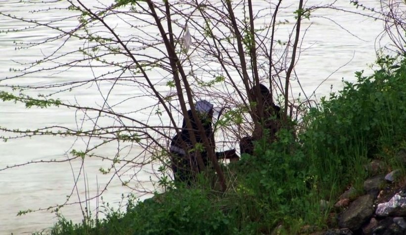 Sakarya Köprüsü altında yürek sızlatan görüntüler