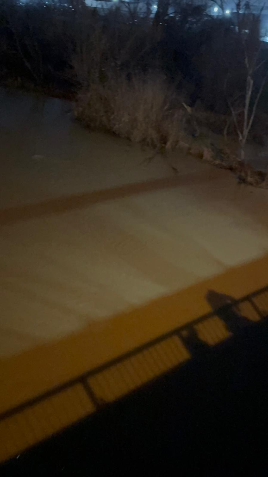 Sakarya Köprüsü'nde intihar girişimi