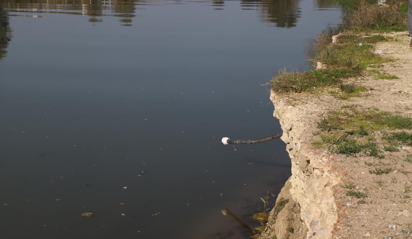 Sakarya Nehri 3 mahallenin yolunu unuttu