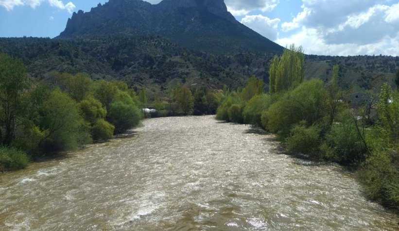 Sakarya Nehri kahverengine boyandı