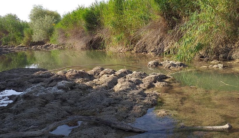 Sakarya Nehri kurudu!