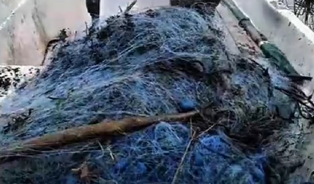 Sakarya Nehri'nde ağlar toplandı