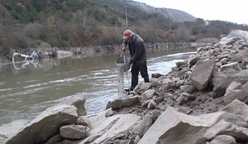 Sakarya Nehri'nde binlerce balık mahsur kaldı