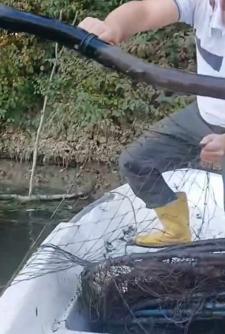 Sakarya Nehri'nde kaçak balık avcılarına operasyon