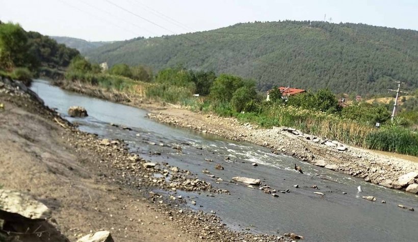 Sakarya Nehri'nde korkutan görüntü