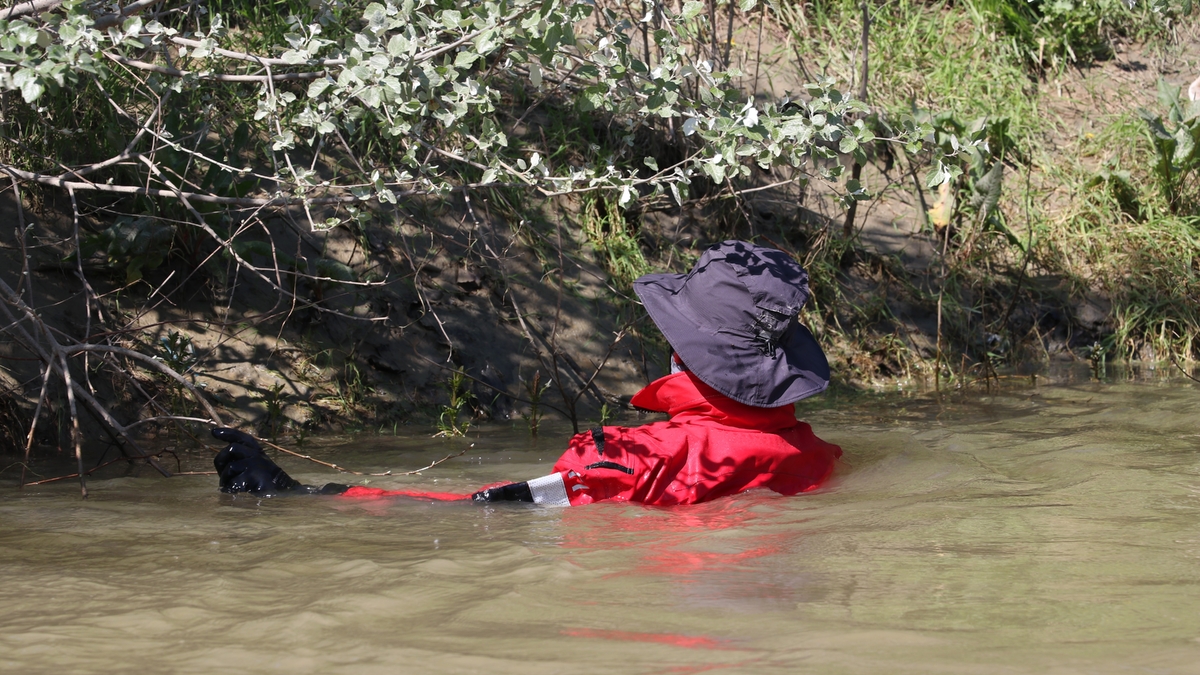 Sakarya Nehri'ne düşen çocuğu arama çalışmaları sürüyor