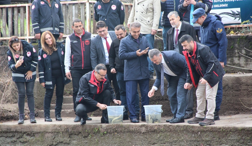 sakarya-nehrine-5-bin-mersin-baligi-birakildibtjbndzcdg