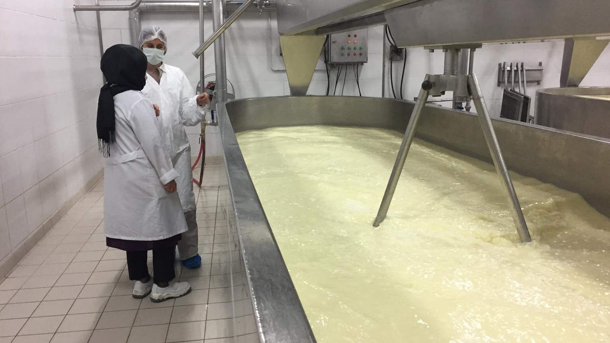 Sakarya'nın gıda denetim raporu açıklandı