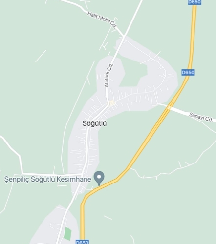 sakarya-nin-korona-haritasi-kizarmaya-basladisgzjynn6nu
