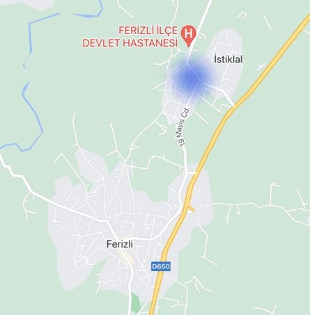 Sakarya'nın korona haritasında son durum