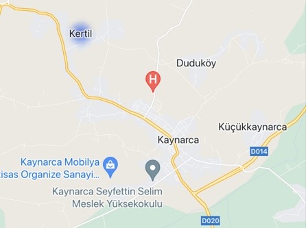 Sakarya'nın korona haritasında son durum