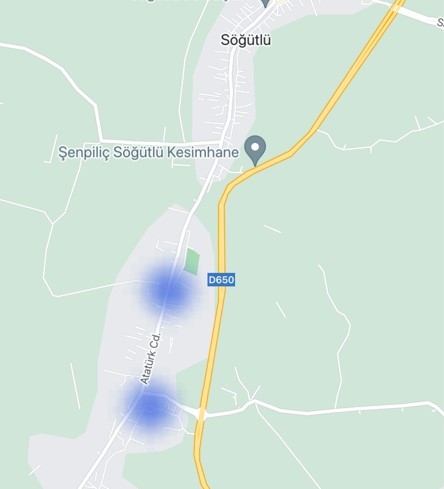 Sakarya'nın korona haritasında son durum