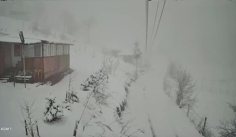 Sakarya'nın yüksek kesimleri karla kaplandı