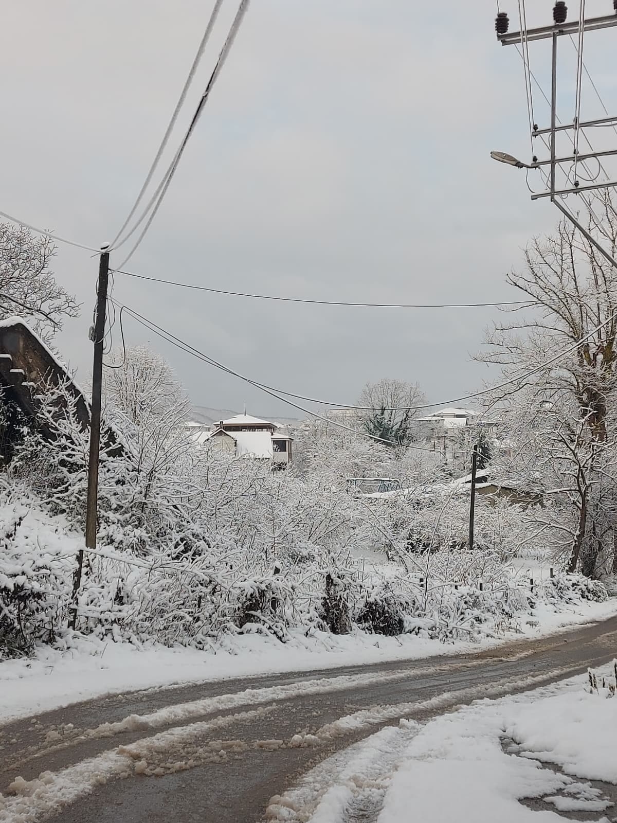 Sakarya'nın yüksek kesimlerinden kar fotoğrafları