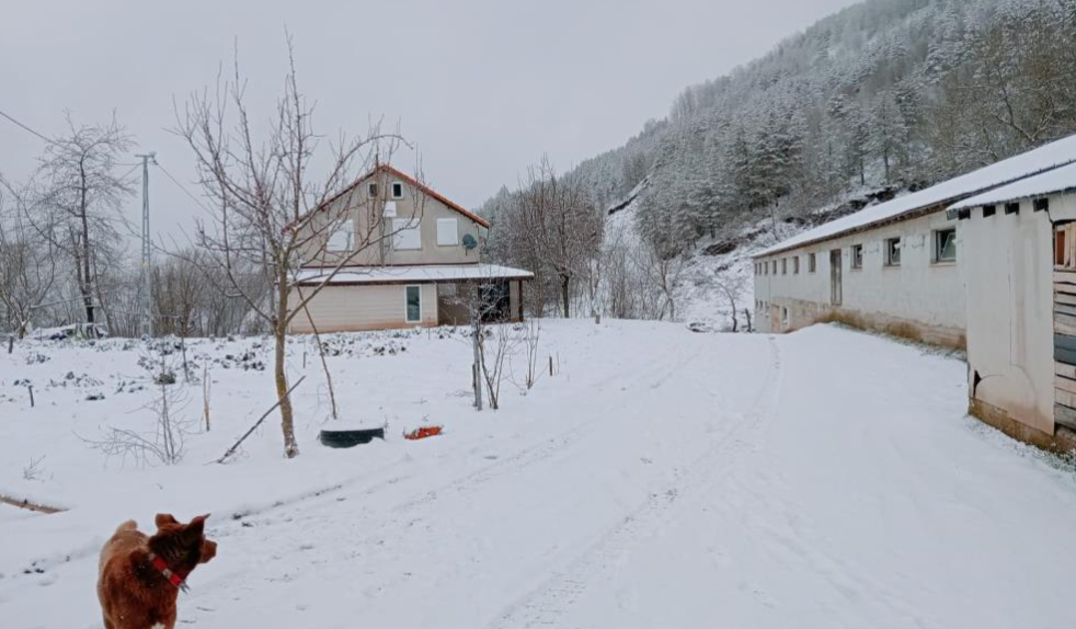 Sakarya'nın yüksek kesimlerine kar yağdı