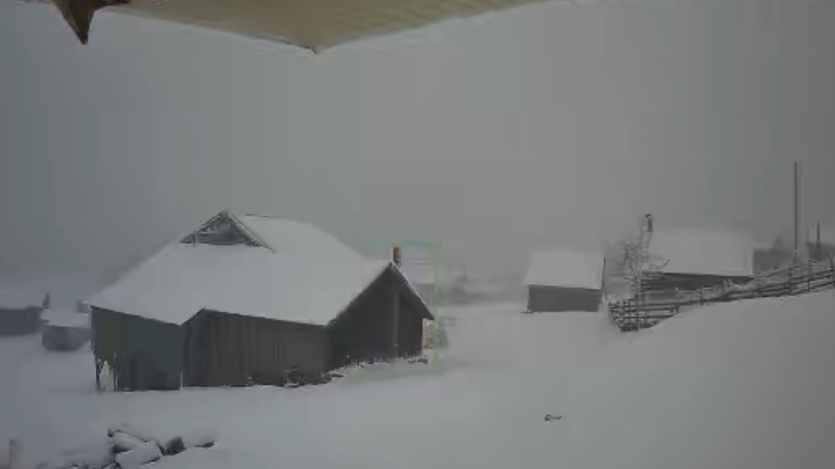 Sakarya'nın yüksek kesimlerine kar yağdı