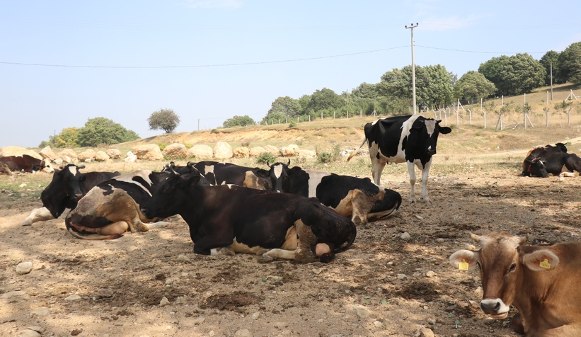 sakarya-sinirinda-sap-alarmiulrmtjzrqz