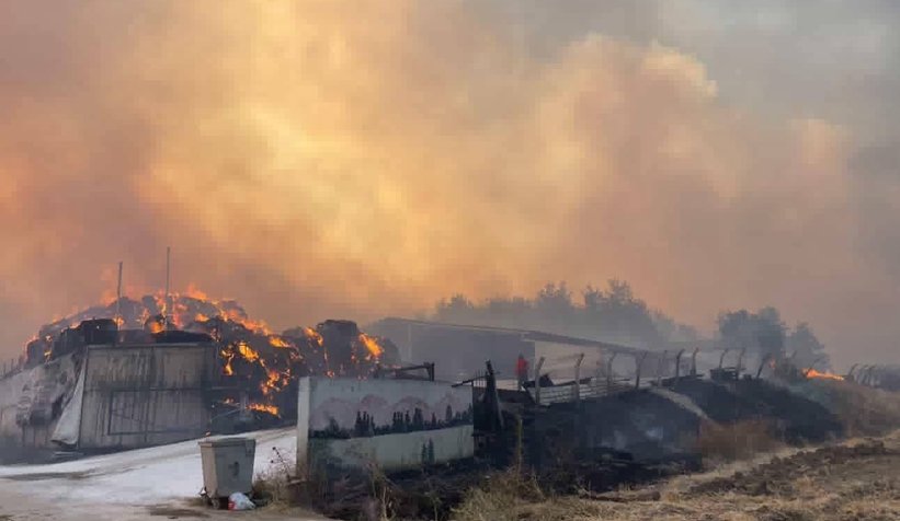 sakarya-tarihinin-en-buyuk-yangini-ucuncu-gundeahcwtxhhmd