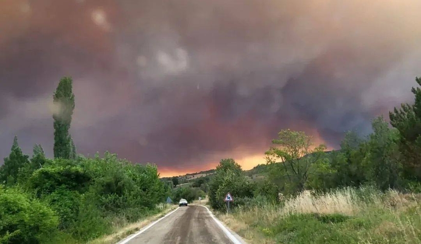 sakarya-tarihinin-en-buyuk-yangininda-kilometrekarelik-alan-kul-olduvitrbnm0a2
