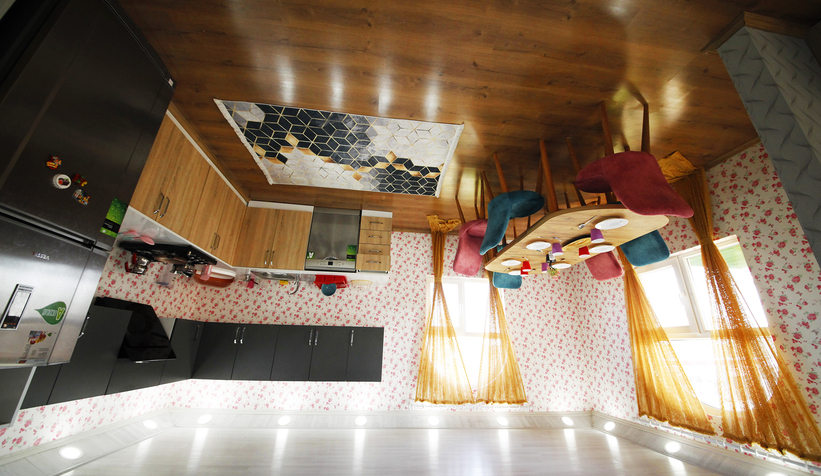 sakarya-ters-evi-cok-sevecekew9nogvwrw