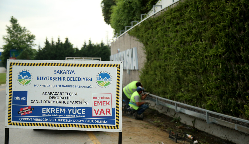 Sakarya'ya gelenler huzur veren bir görüntüyle karşılanacak