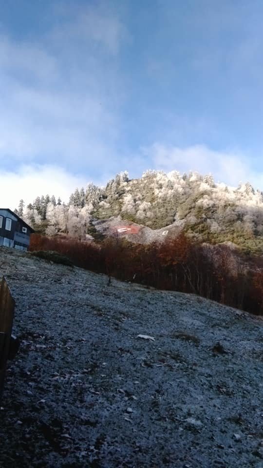 Sakarya'ya ilk kar düştü