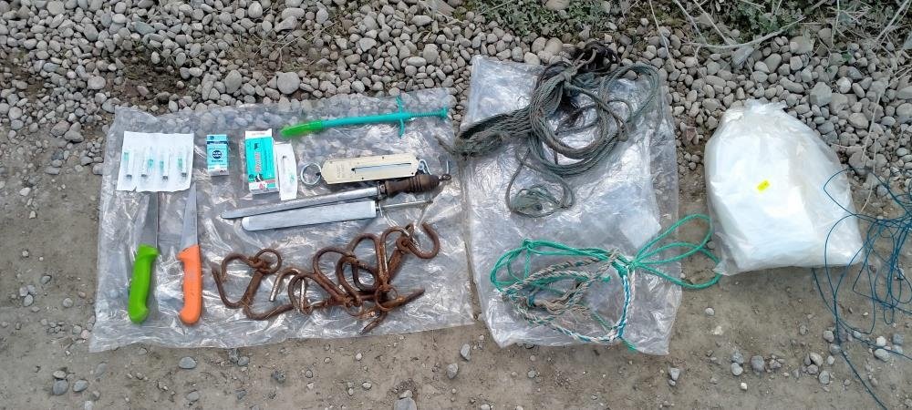 Sakarya’da 40 adet at kesilmekten son anda kurtarıldı