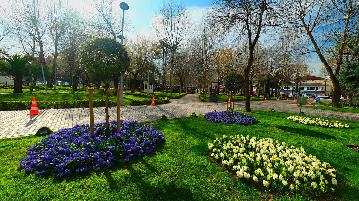 Sakarya’da baharın büyüleyici cümbüşü