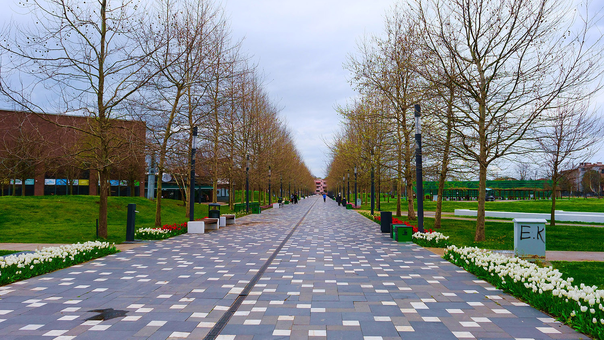 Sakarya’da baharın büyüleyici cümbüşü