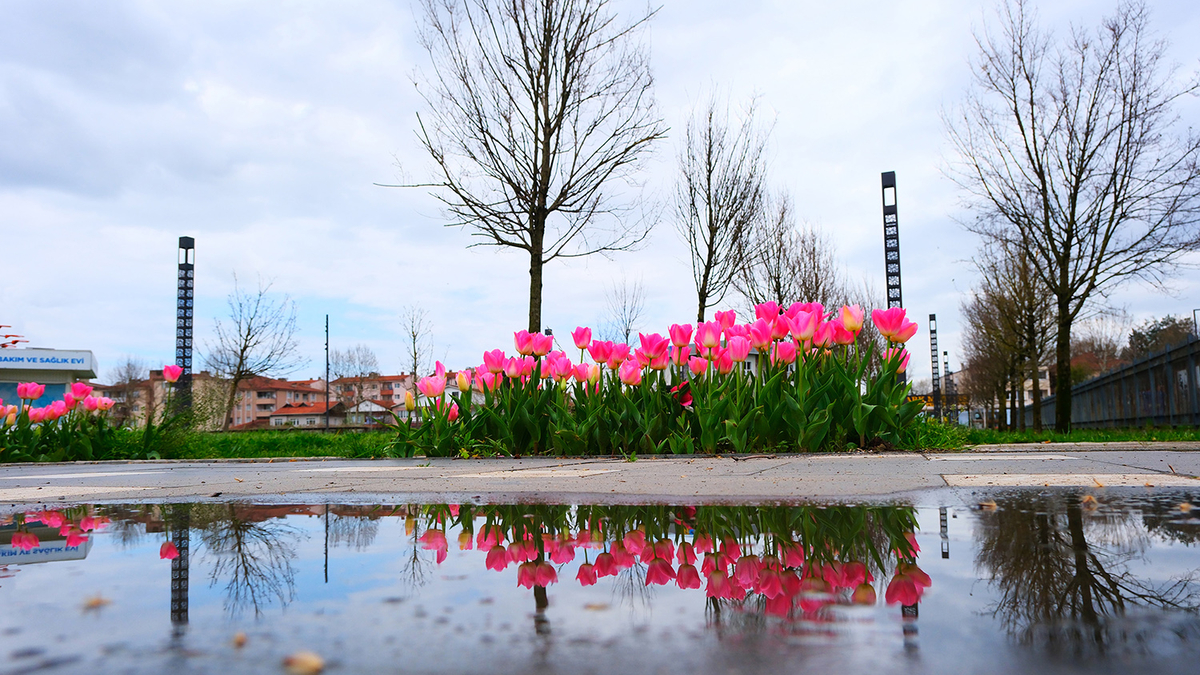 Sakarya’da baharın büyüleyici cümbüşü