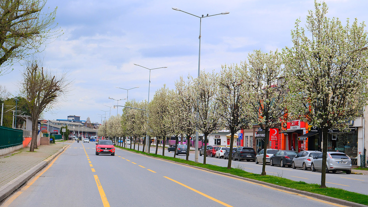 Sakarya’da baharın büyüleyici cümbüşü