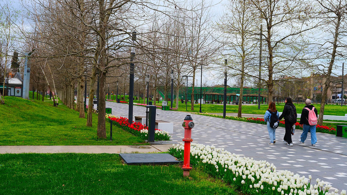 Sakarya’da baharın büyüleyici cümbüşü