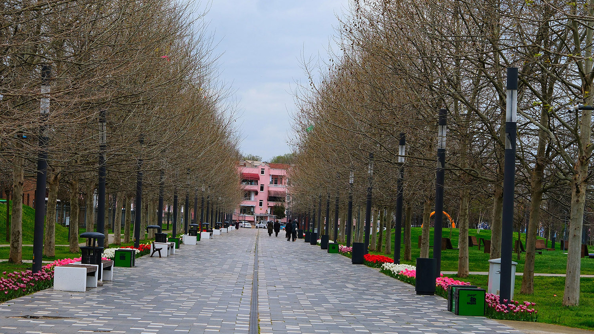 Sakarya’da baharın büyüleyici cümbüşü