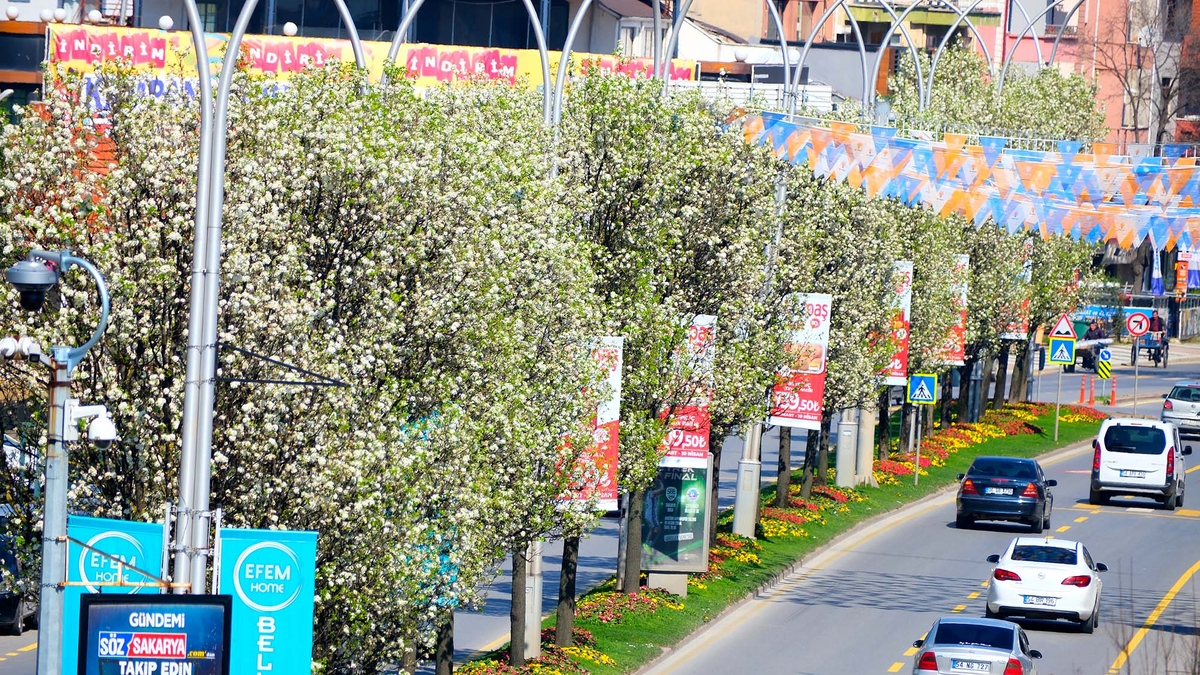Sakarya’da baharın büyüleyici cümbüşü