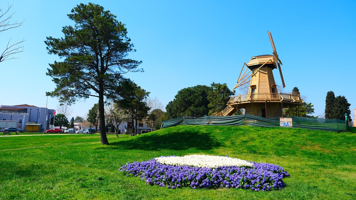 Sakarya’da baharın büyüleyici cümbüşü