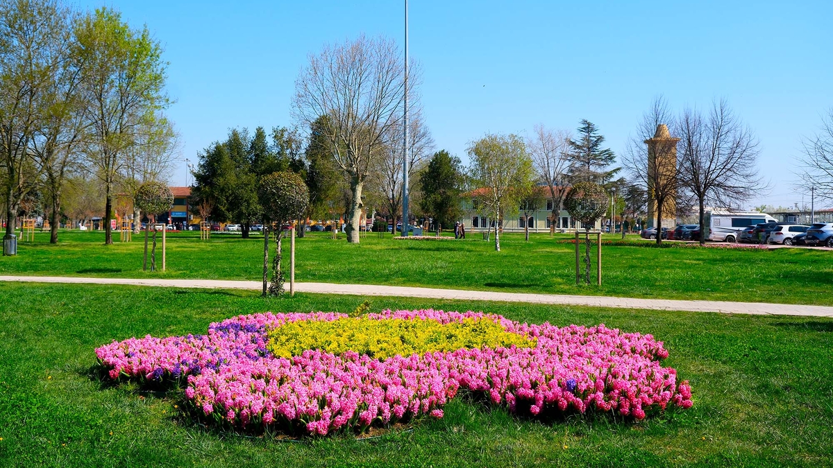 Sakarya’da baharın büyüleyici cümbüşü
