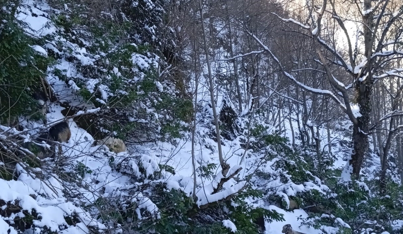 sakaryada-iki-mevsim-ayni-gun-yasaniyoraja4s3jsuv