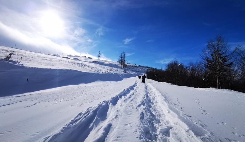 Sakaryalı dağcılar Kardüz Yaylasına çıktı