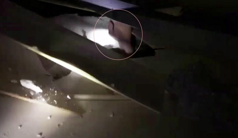 Sakarya’nın deprem çocukları geldi sizi alacak korkmayın