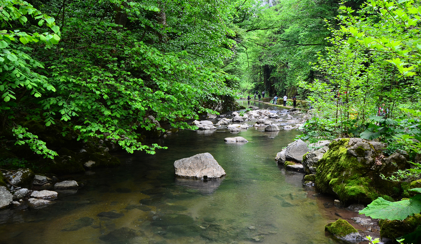 Sakarya’nın en büyüleyici güzergahında unutulmaz bir deneyim