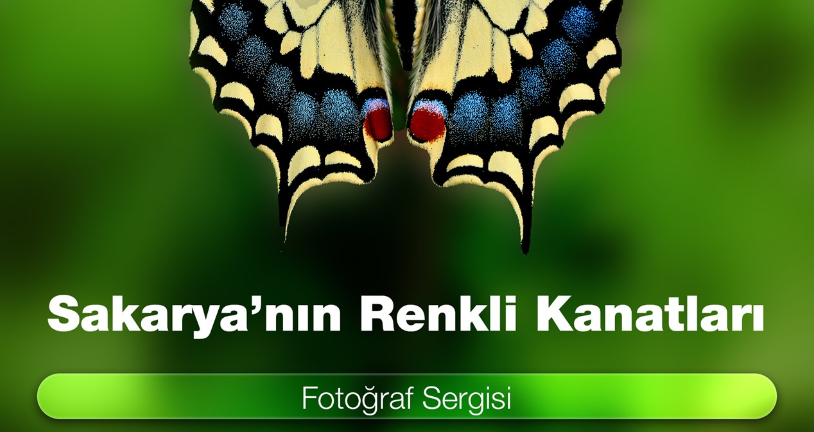 Sakarya’nın Renkli Kanatları fotoğraf sergisi